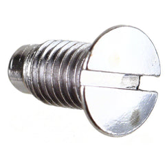 Bernina Needle Plate Screw, Bernina #100032003 Bernina Needle Plate Screw, Bernina #100032003