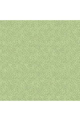 Spring Awakening Collection by Deborah Edwards Spring Awakening Collection by Deborah Edwards