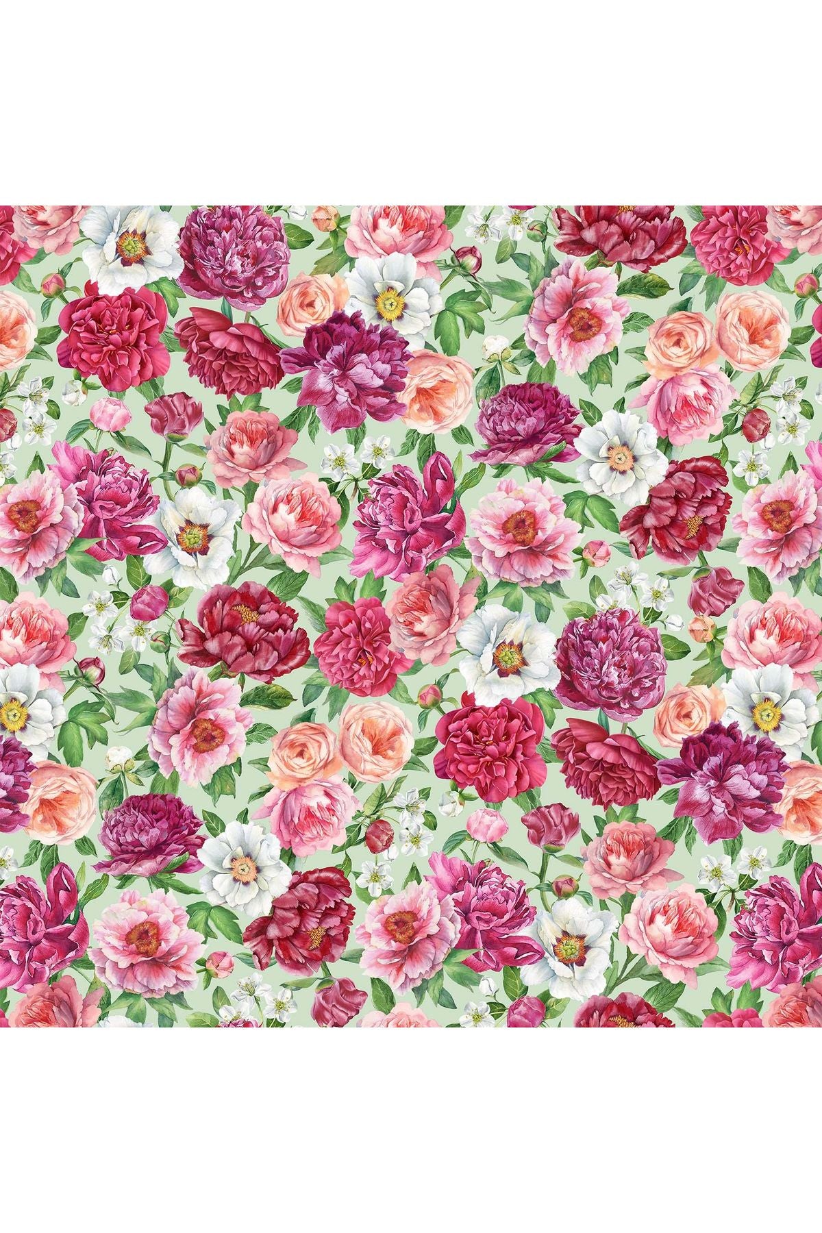 Fabric, Northcott Fabrics, Blush Collection Fabric, Northcott Fabrics, Blush Collection