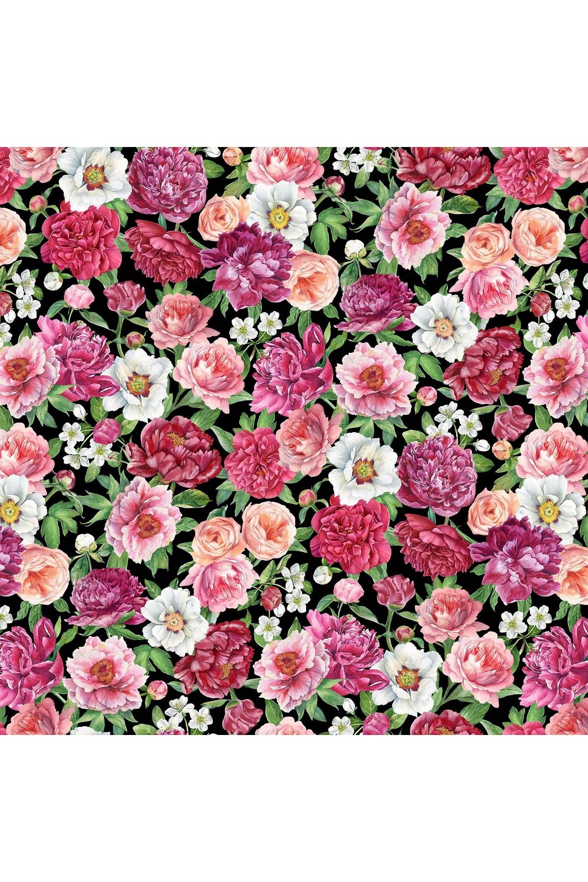 Fabric, Northcott Fabrics, Blush Collection Fabric, Northcott Fabrics, Blush Collection