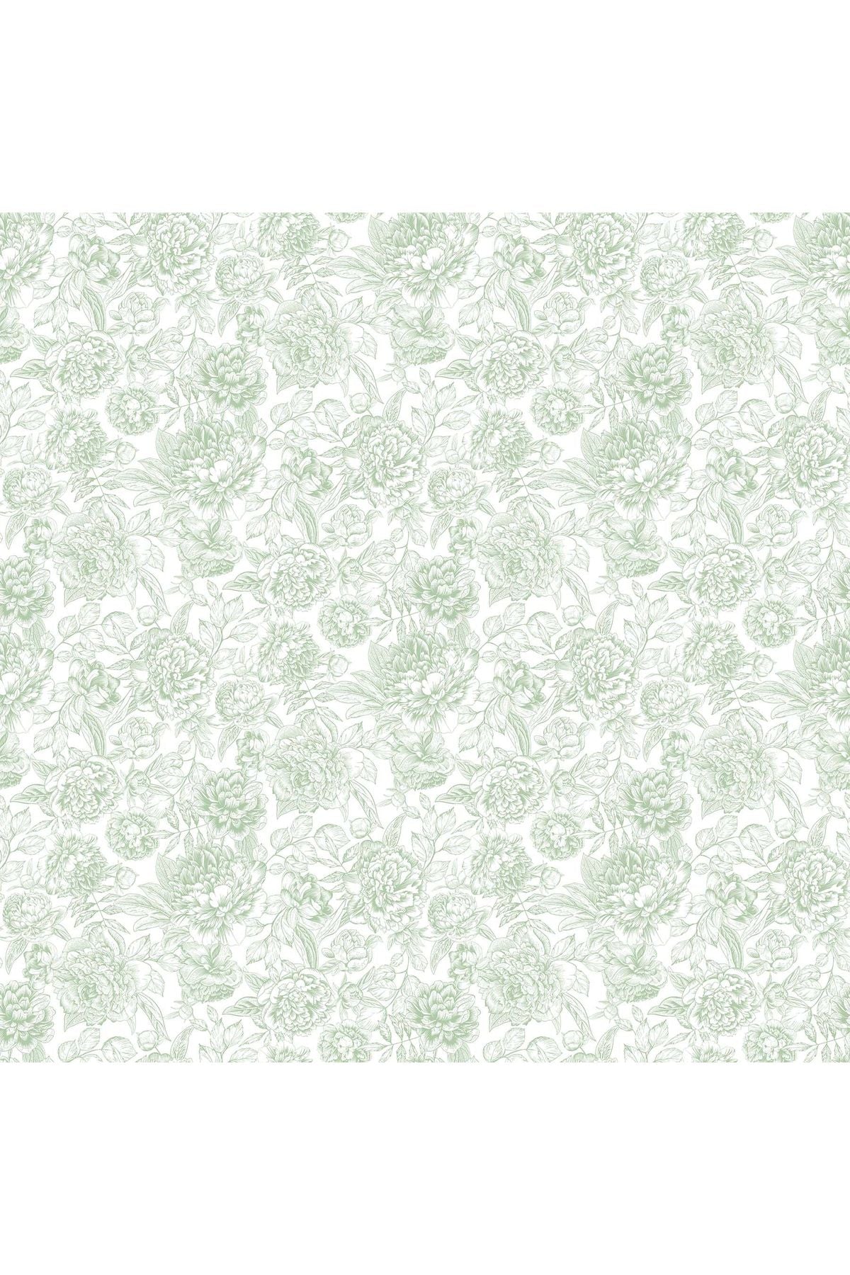 Fabric, Northcott Fabrics, Blush Collection Fabric, Northcott Fabrics, Blush Collection