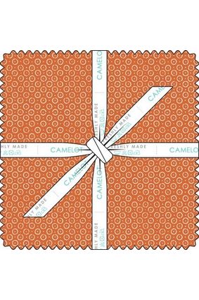 Topography Collection - 10" Squares Topography Collection - 10" Squares