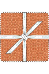 Topography Collection - 10" Squares Topography Collection - 10" Squares