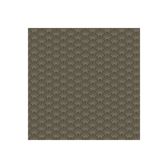 Tradewinds Shells Dolphin - A-816-C Tradewinds Shells Dolphin - A-816-C