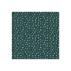 Fabric, Capsules Campsite Midnight Wishes - AGF Art Gallery Fabrics Fabric, Capsules Campsite Midnight Wishes - AGF Art Gallery Fabrics