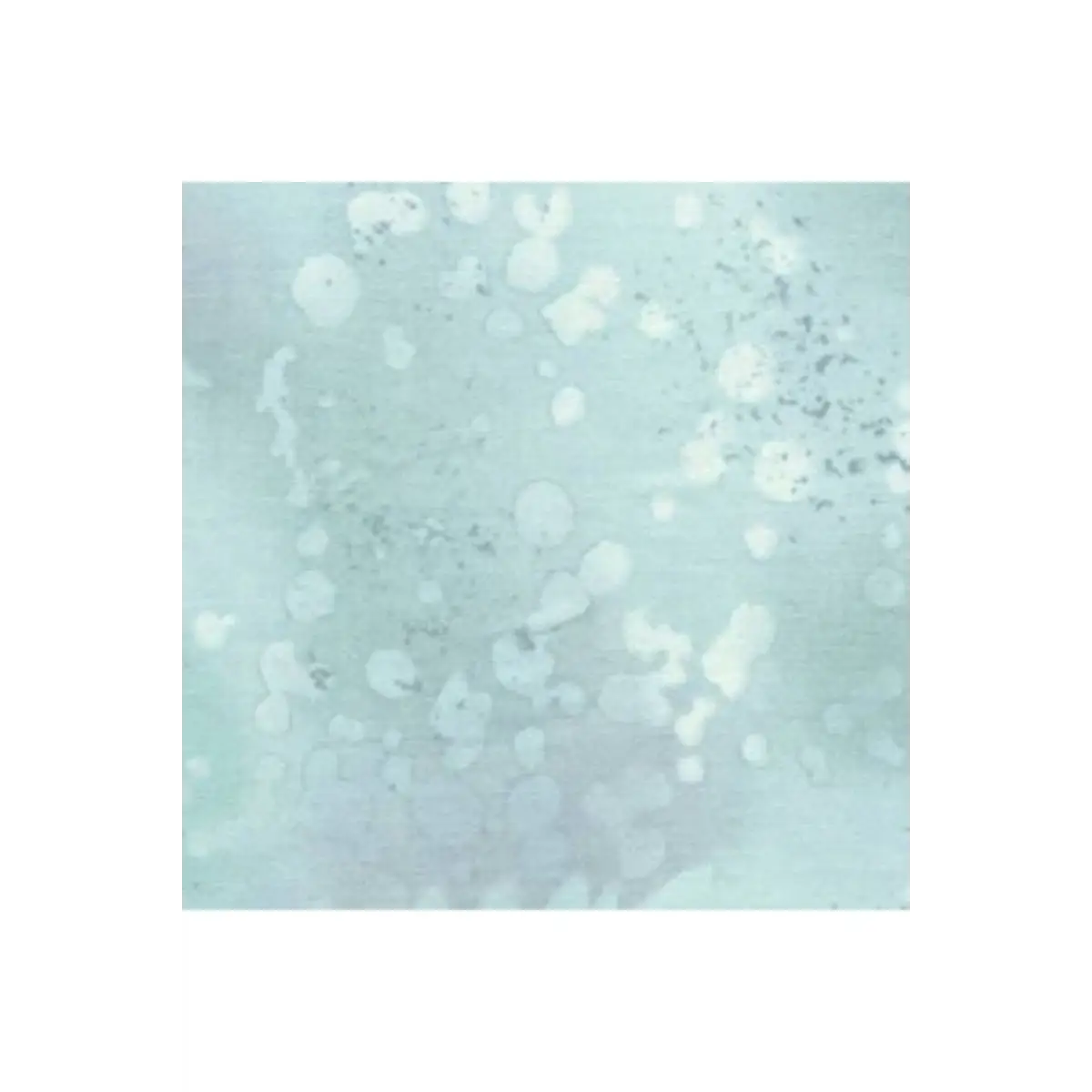 Fabric, Benartex - Fossil Fern Cloudy Day 0528-0Y Fabric, Benartex - Fossil Fern Cloudy Day 0528-0Y