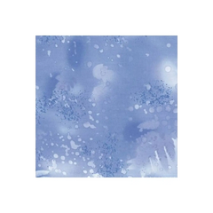 Nordid Ice Fossil Fern Nordid Ice Fossil Fern