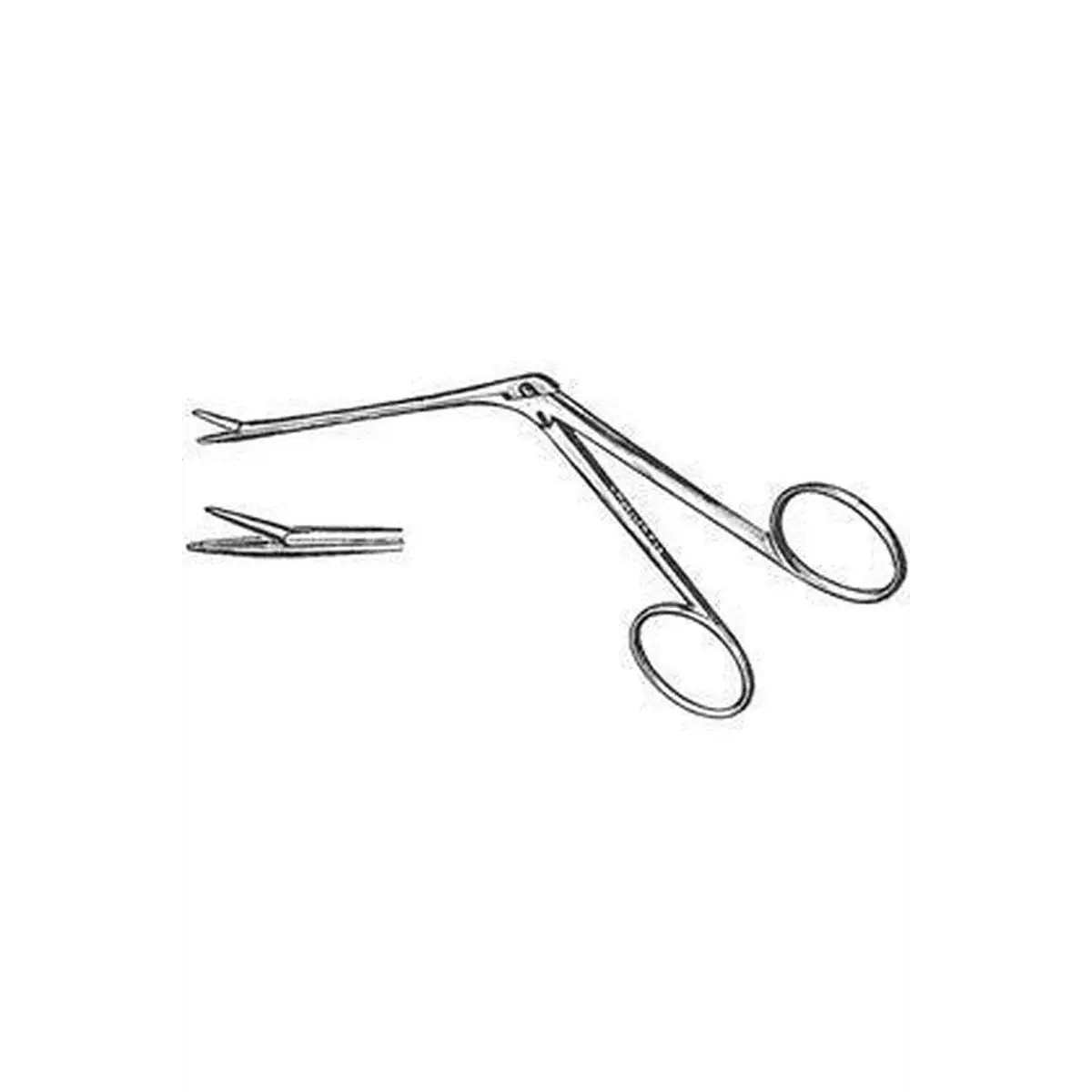 Alligator Forceps 5.5 inch Alligator Forceps 5.5 inch