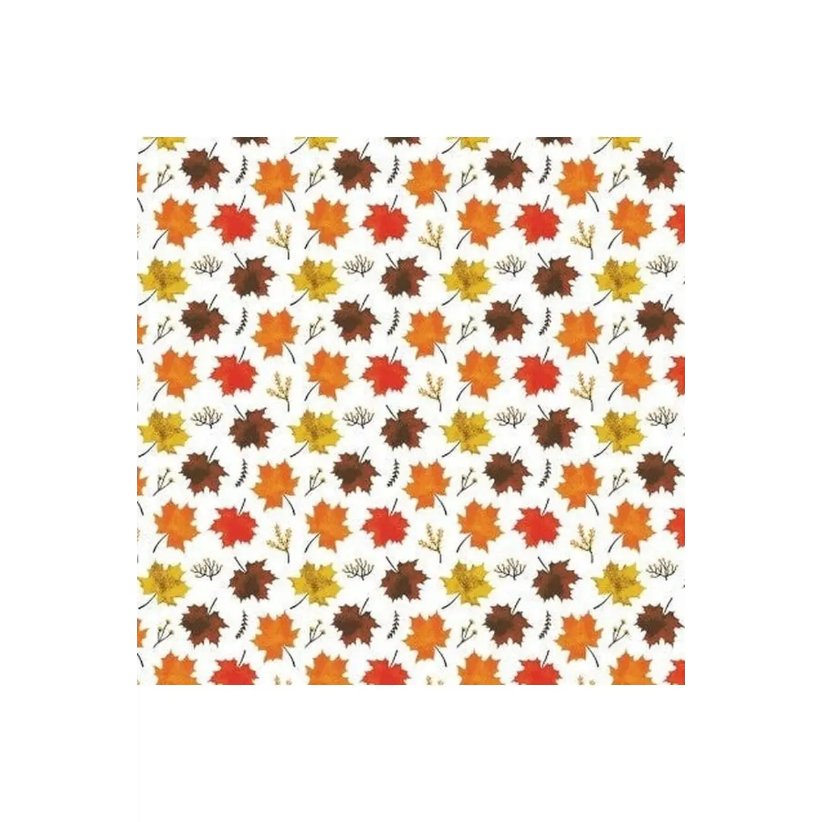 Canadian Boreal Forest -White Canadian Boreal Forest -White