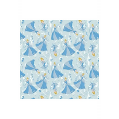 Cinderella Dancing Cinderella Dancing