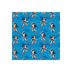 DC Girl Heroes Wonder Woman DC Girl Heroes Wonder Woman