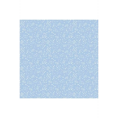 White Starry Night White Starry Night