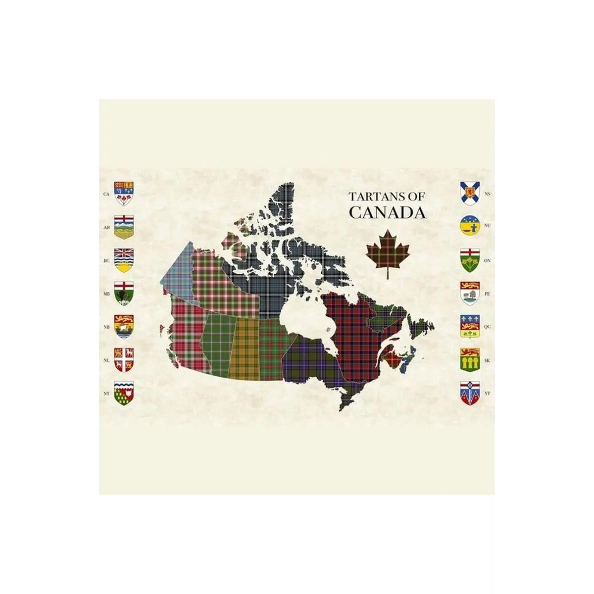 Tartan Traditions, Tartan Panel - DP25586-11 Tartan Traditions, Tartan Panel - DP25586-11