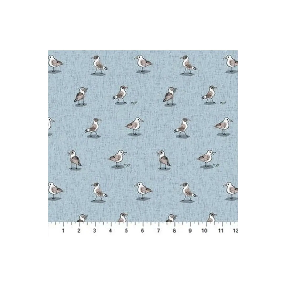 Calm Waters Seagulls Calm Waters Seagulls
