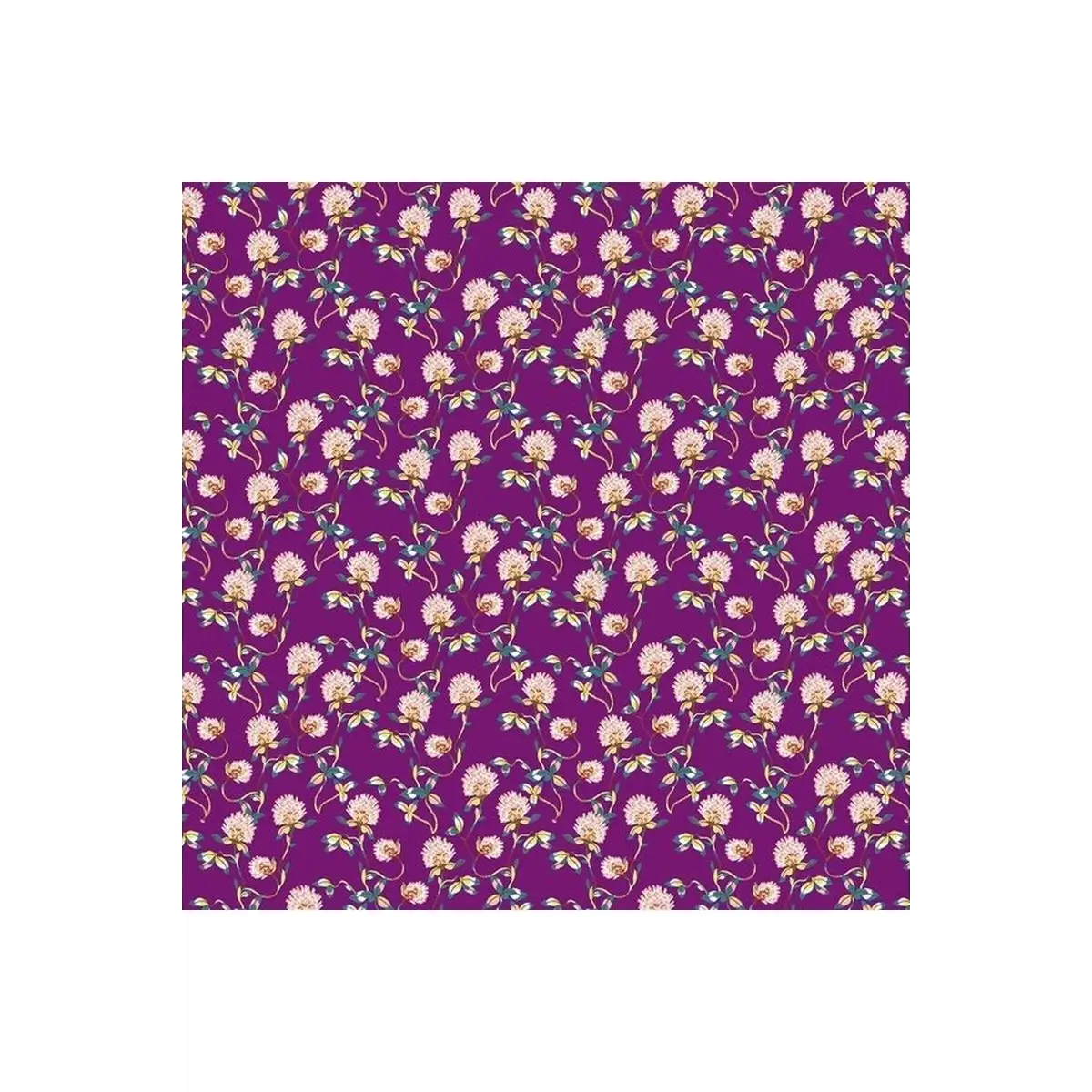 Forage Clover - R90332 Forage Clover - R90332