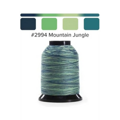Finesse Quilting Thread - Variegated 1500yds/1371m Polyester 50wt/3ply Finesse Quilting Thread - Variegated 1500yds/1371m Polyester 50wt/3ply