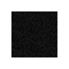 Folio Basic Vines Folio Basic Vines