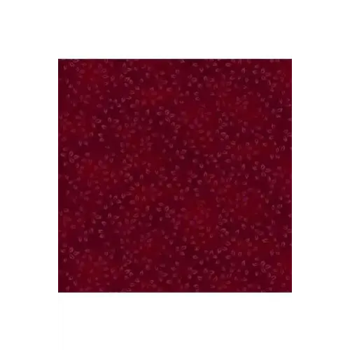 Fabric, Henry Glass & Co. Fabrics, Folio Basic Vines Fabric, Henry Glass & Co. Fabrics, Folio Basic Vines