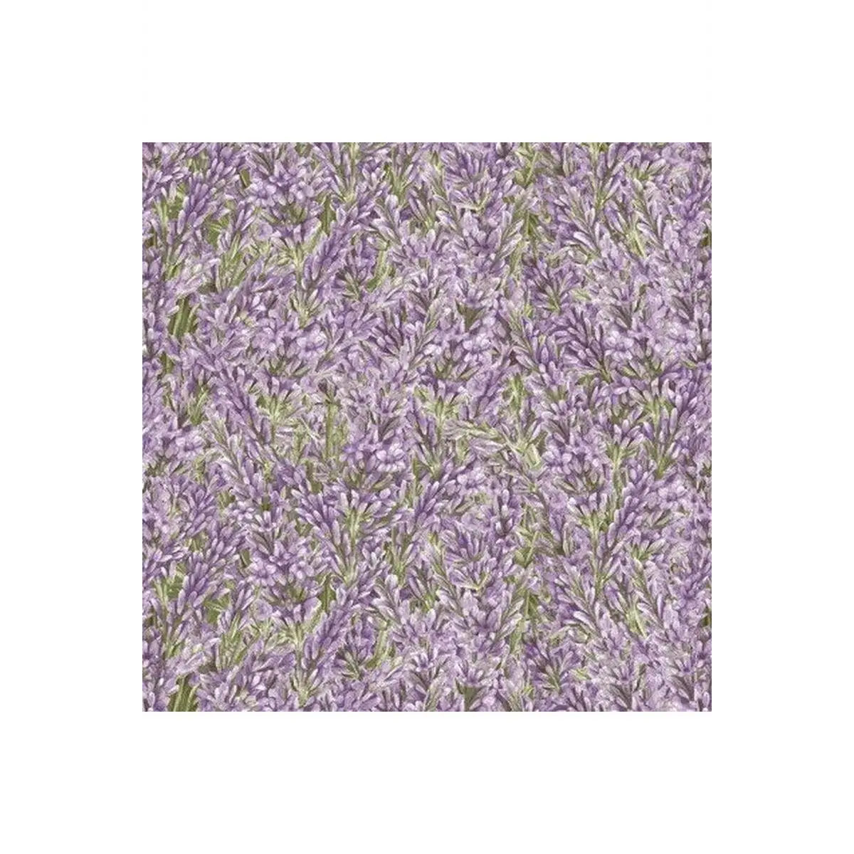 Lavender Garden Lavender - 9873-56 Lavender Garden Lavender - 9873-56