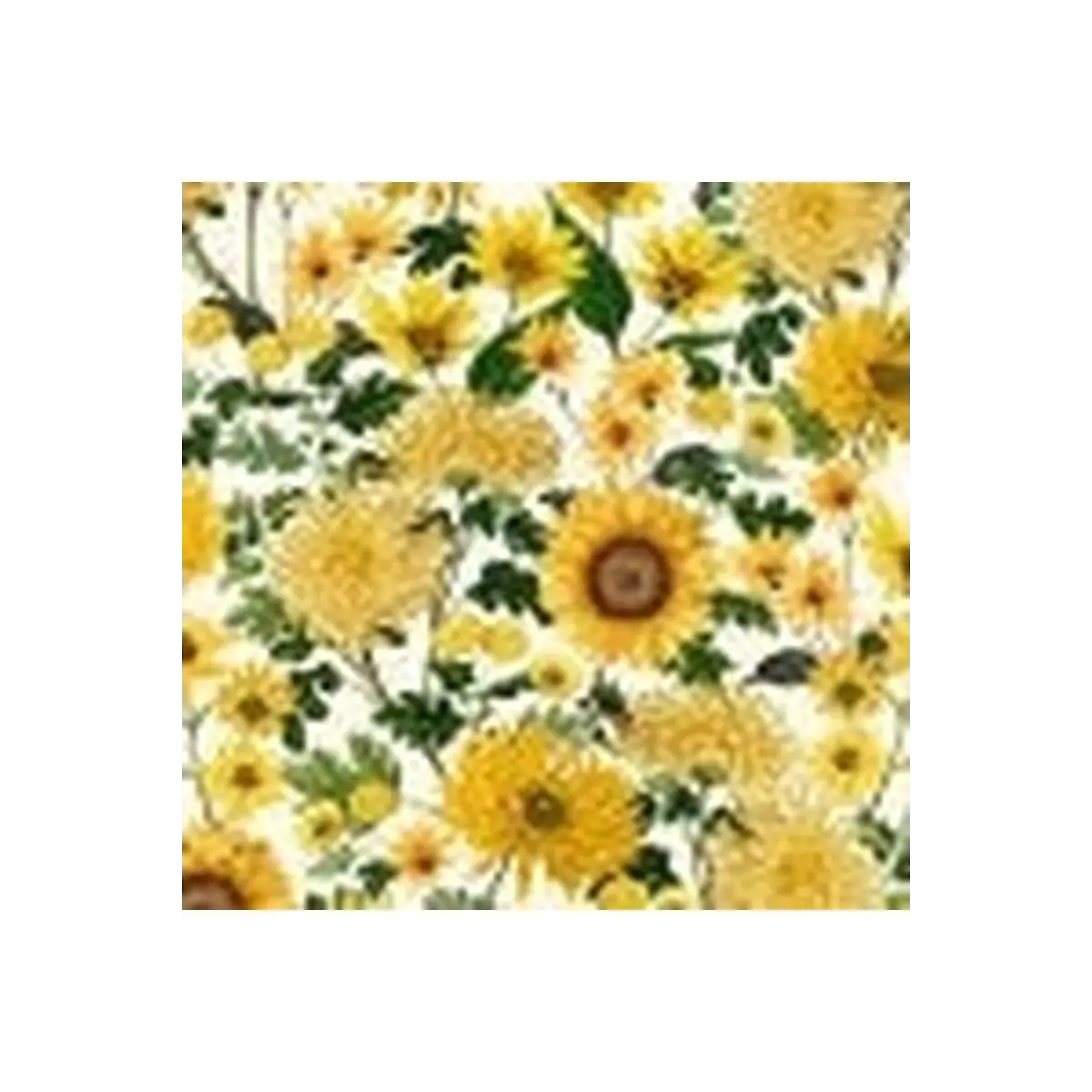 Fall Foliage Fall Foliage