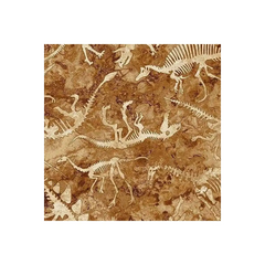 Prehistoric World Fossil Toss - 24783-34 Prehistoric World Fossil Toss - 24783-34