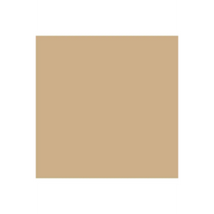 ColorWorks Premium Solid Cafe O Lait ColorWorks Premium Solid Cafe O Lait