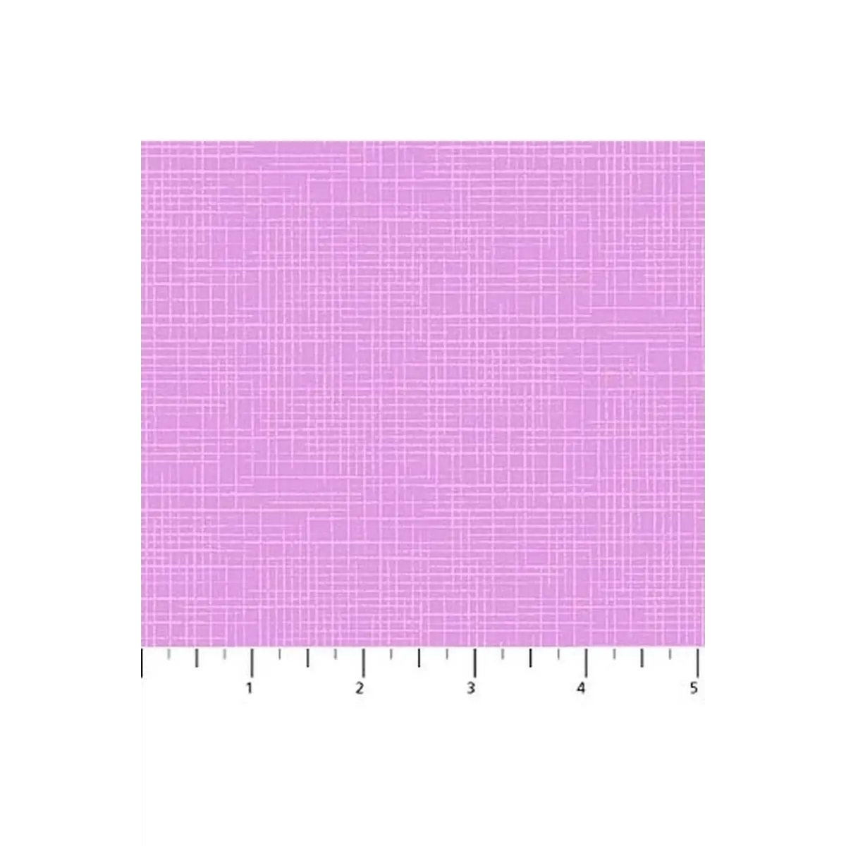 Dublin Wild Orchid Dublin Wild Orchid