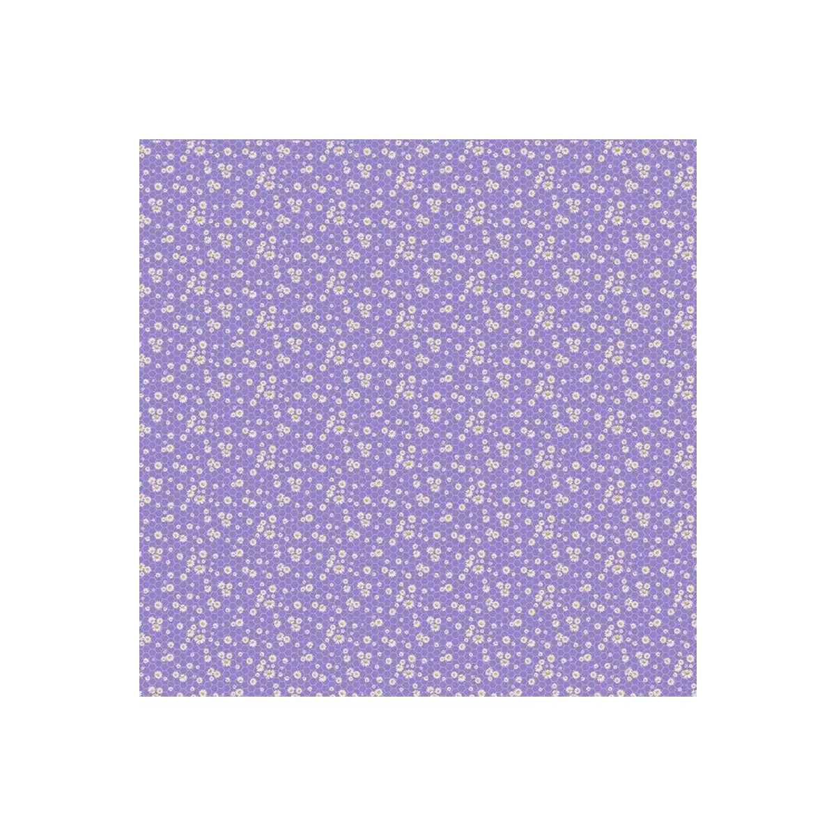 Lavender Market Mini Daisy - 24480 Lavender Market Mini Daisy - 24480