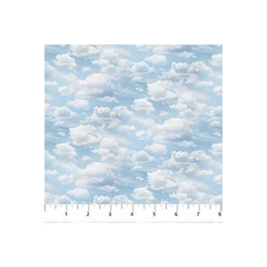 Naturescapes Basics Light Blue- 2549-42 Naturescapes Basics Light Blue- 2549-42