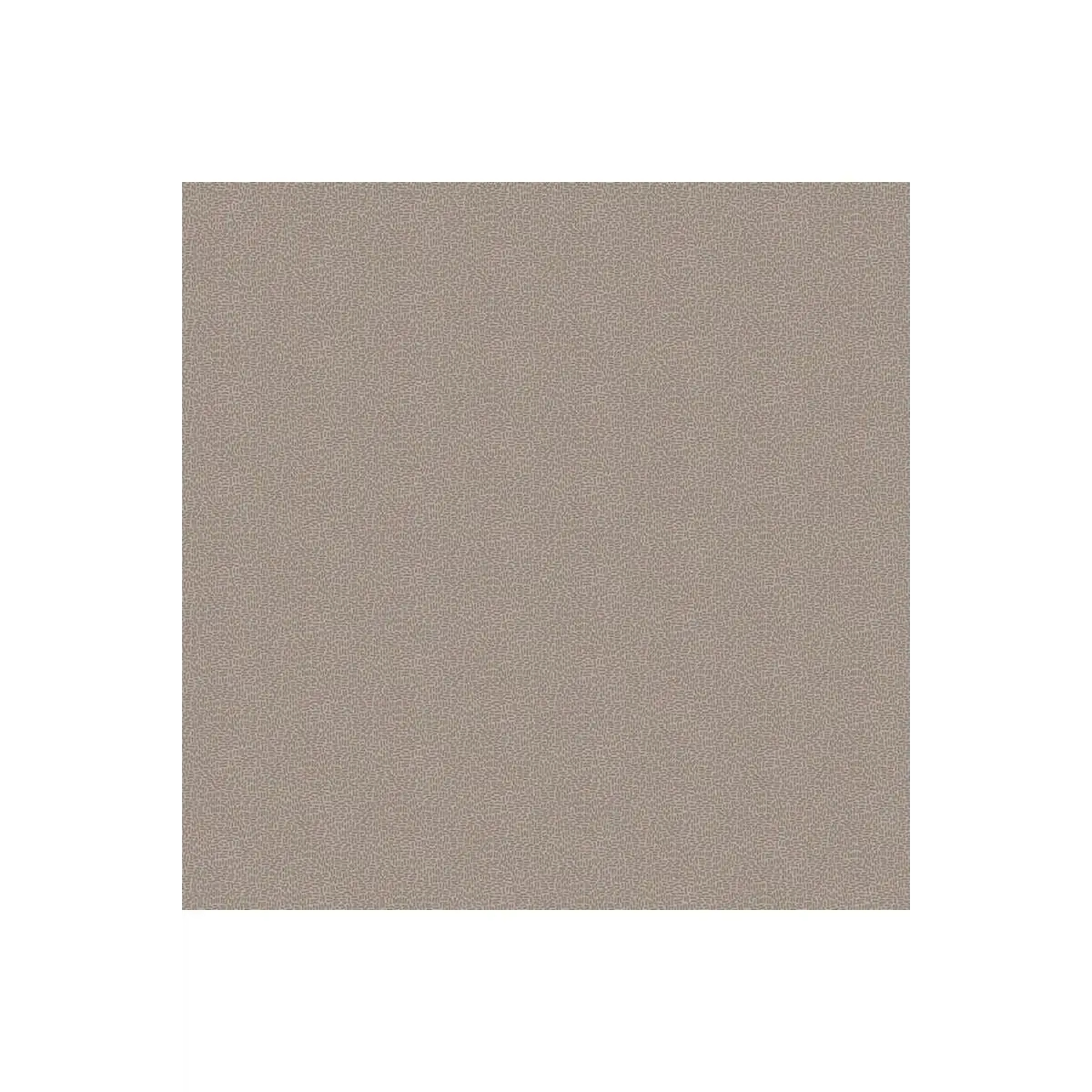 Neutrality Thatched - 10296 Neutrality Thatched - 10296