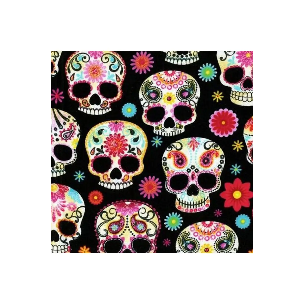 Black Day of the Dead Skulls Black Day of the Dead Skulls