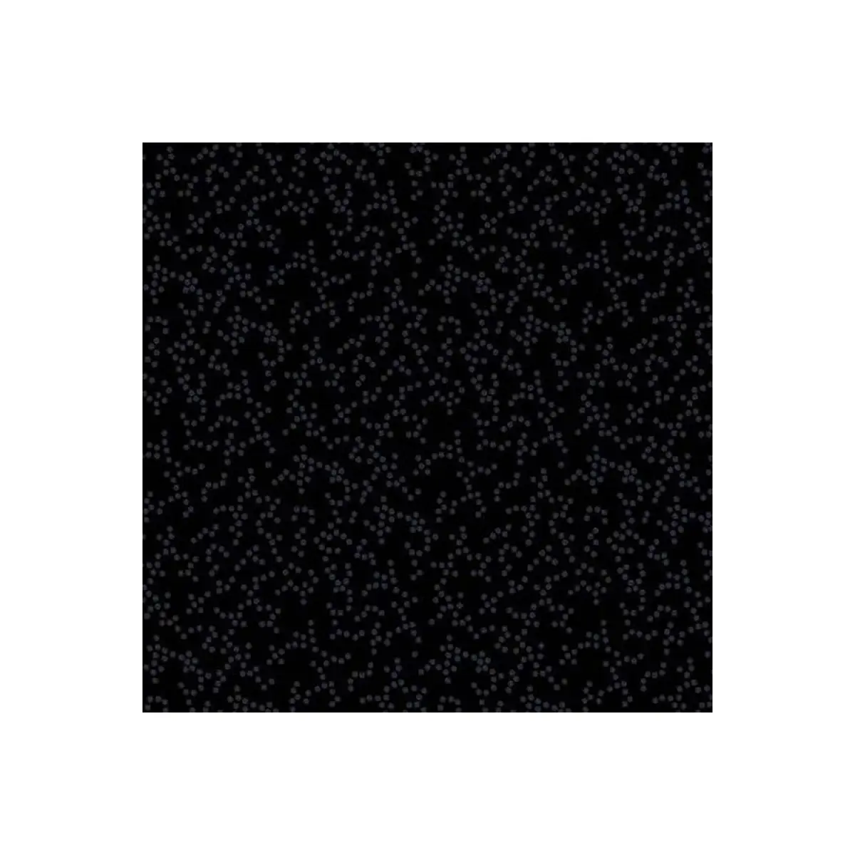 Black Dots Black Dots