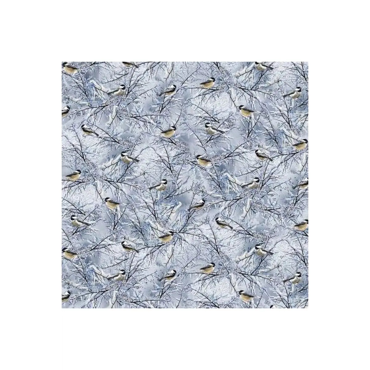 Blue Winter Birds Blue Winter Birds