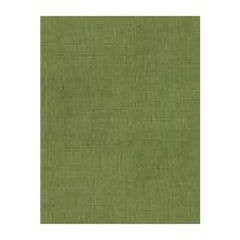 Fabric, Timeless Treasures Fabric, Mix Basic Olive Fabric, Timeless Treasures Fabric, Mix Basic Olive