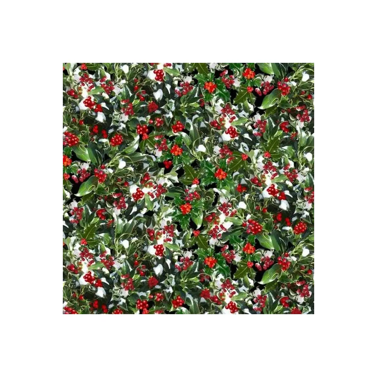 Green Holly & Berries Green Holly & Berries