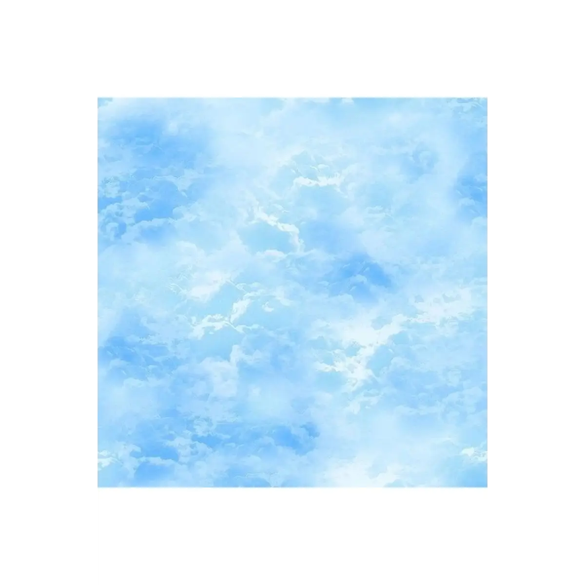 Wildflower Bright Blue Sky - CD2438 Wildflower Bright Blue Sky - CD2438