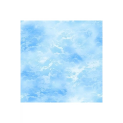 Wildflower Bright Blue Sky - CD2438 Wildflower Bright Blue Sky - CD2438