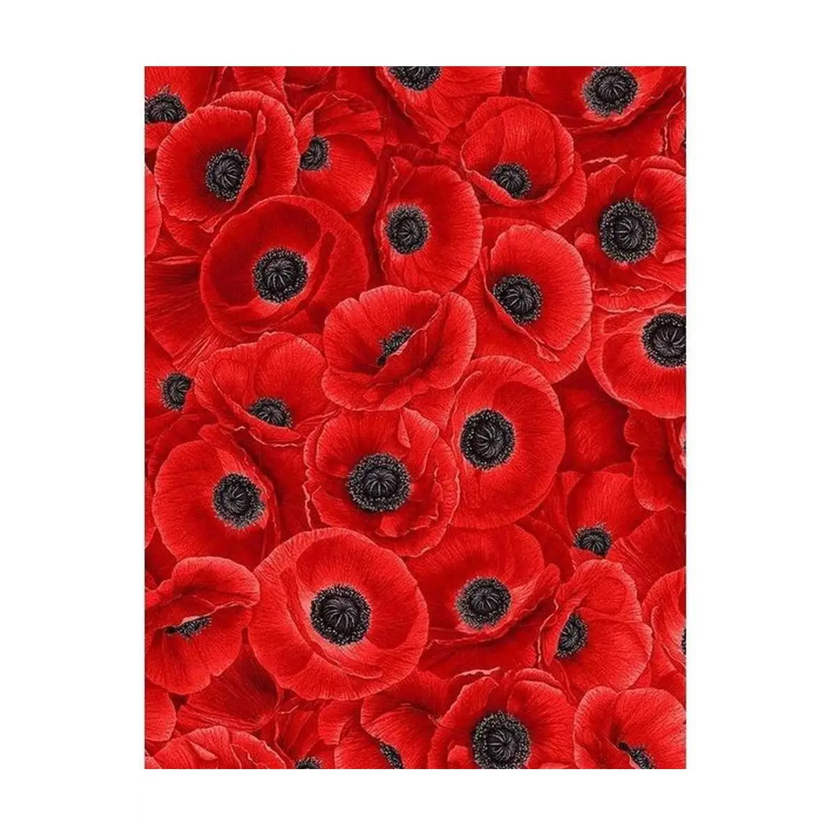 Wildflower Packed Red Poppies - C8474 Wildflower Packed Red Poppies - C8474