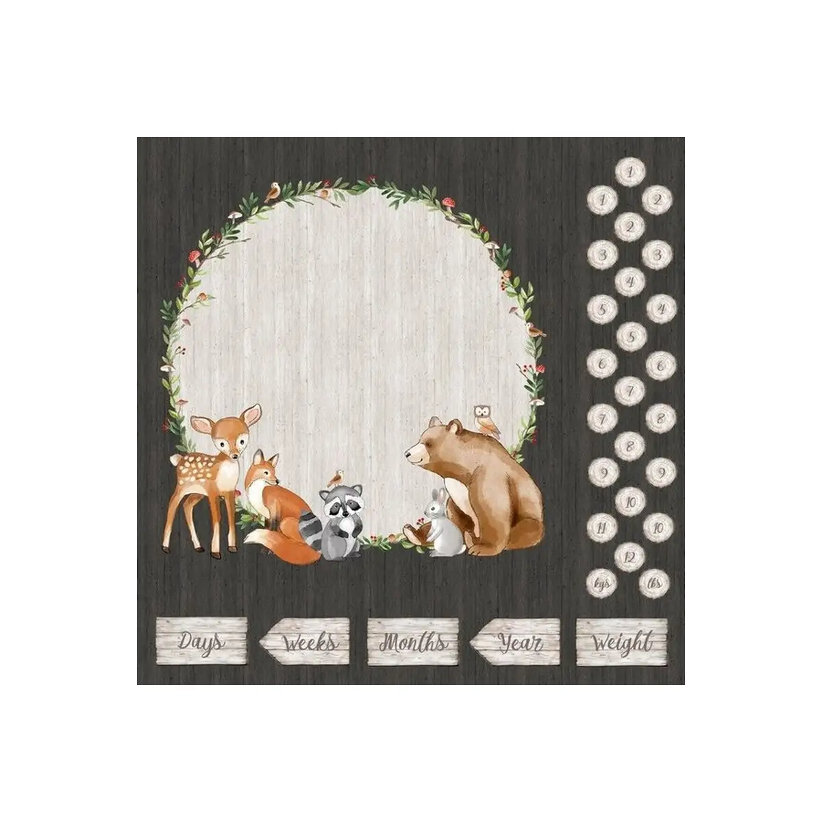 Woodland Adventures Milestone Panel - DP25262-96 Woodland Adventures Milestone Panel - DP25262-96