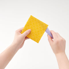 Point 2 Point Turner (Limited Edition)