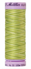 Mettler Silk-Finish 50wt Variegated Cotton Thread 109yd/100M Little Spouts
