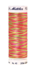 Mettler Poly Sheen Multi Sporty Neons 9914