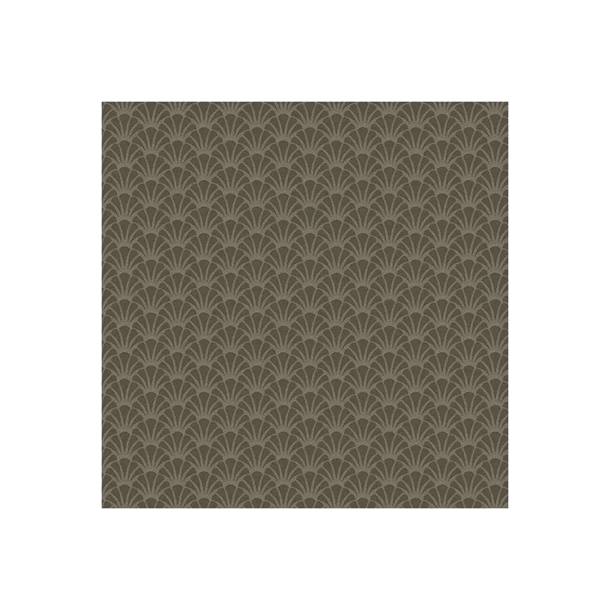 Tradewinds Shells Dolphin - A-816-C