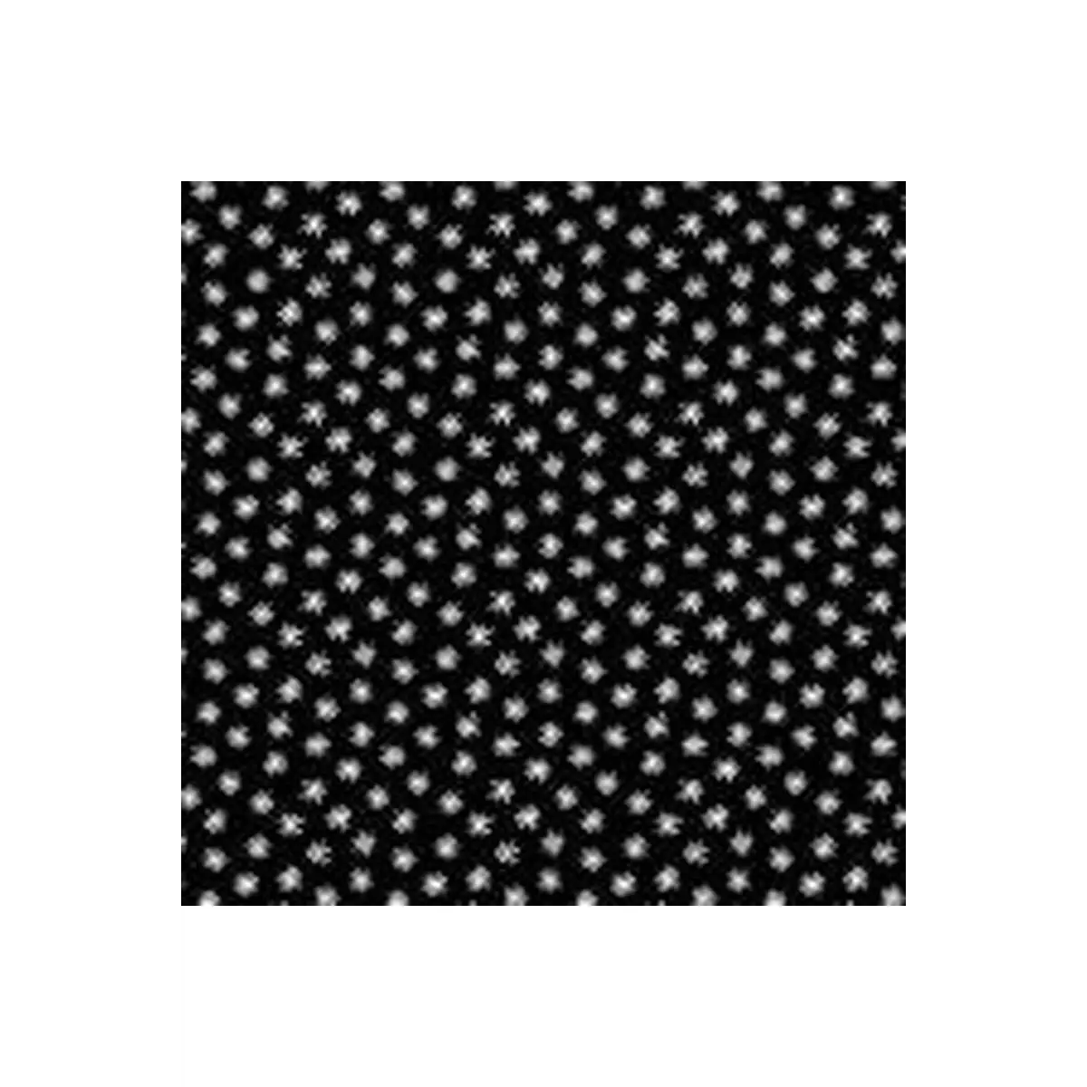 Andover Tuxedo Daisies Black A9625K 100% Cotton