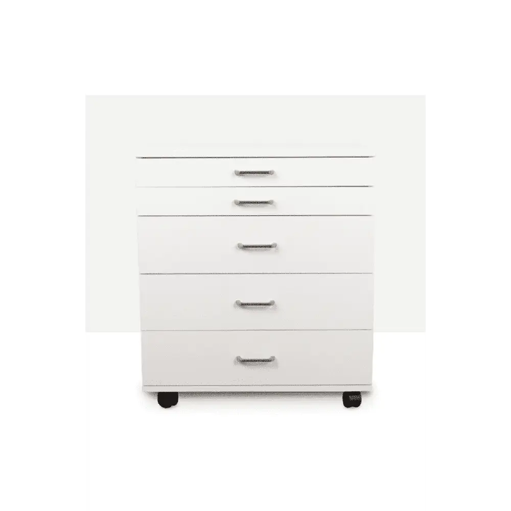 BERNINA Storage Caddie