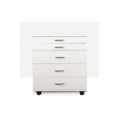 BERNINA Storage Caddie