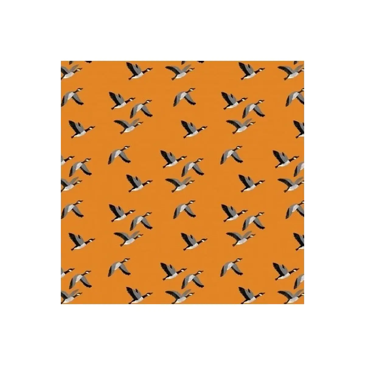 Canadian Boreal Forest - Canadian Geese Orange