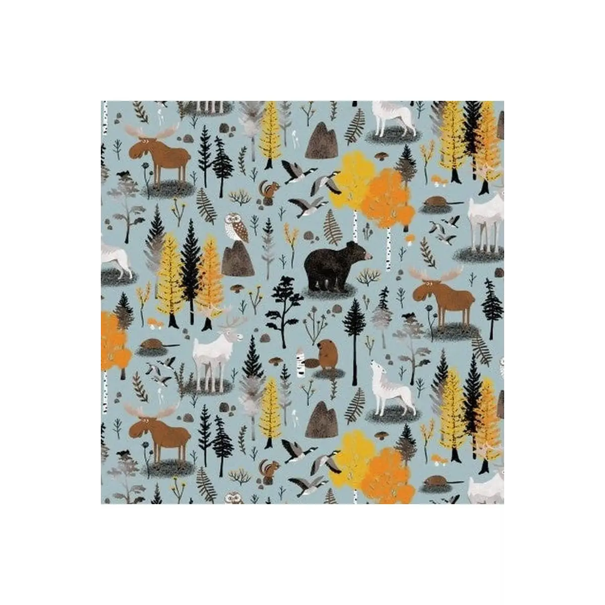 Canadian Boreal Forest - Slate