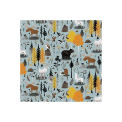 Canadian Boreal Forest - Slate