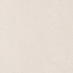 Solid Beige Minky* (Sold By 1/2 Meter)